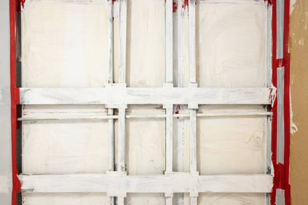 Best Attic Mold Removal  in Seagraves, TX