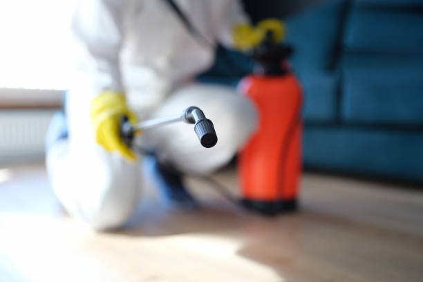 Best Crawl Space Mold Remediation  in Seagraves, TX
