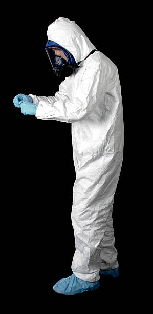 Best Attic Mold Removal  in Seagraves, TX
