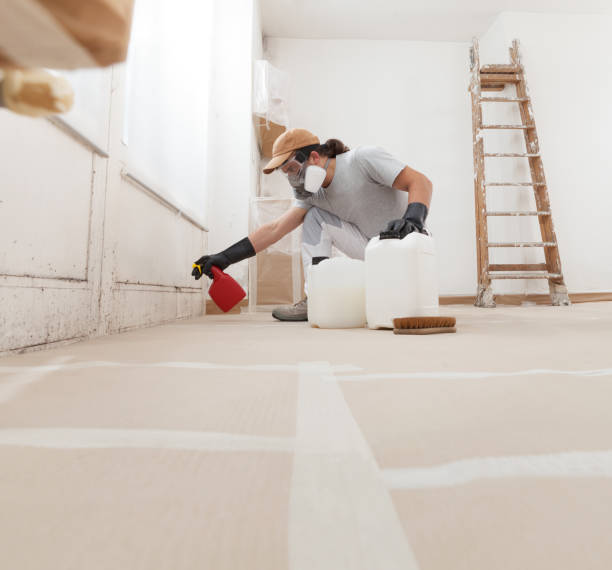 Trusted Seagraves, TX Mold Removal Experts